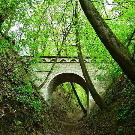 Отель Kamienica Biala Казимеж-Дольны Экстерьер фото